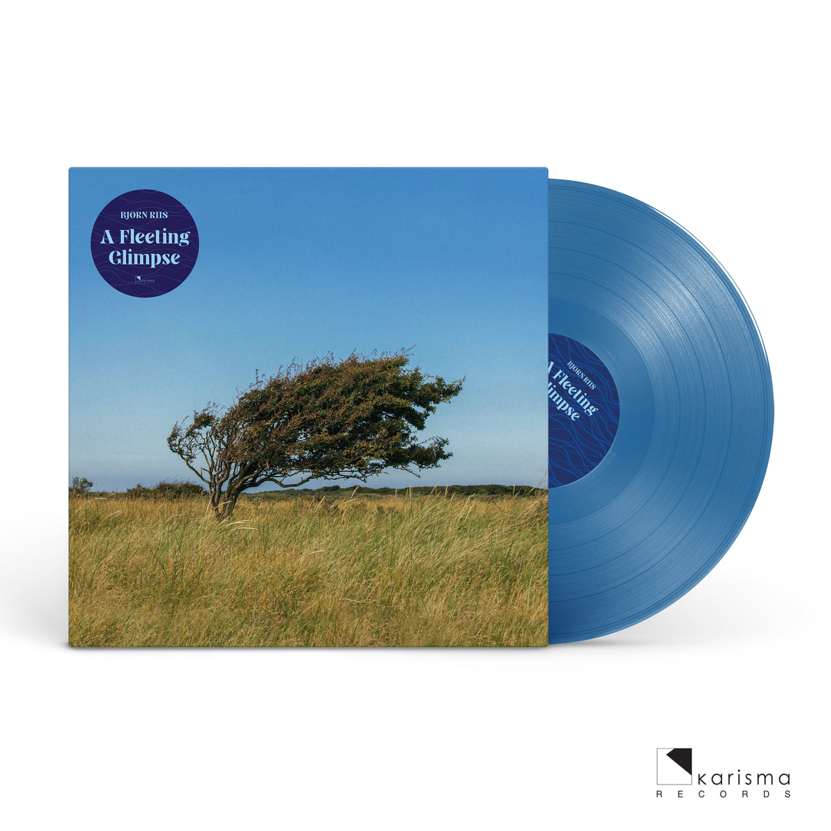 Bjørn Riis "A Fleeting Glimpse (lp)" Limited Edition 12"